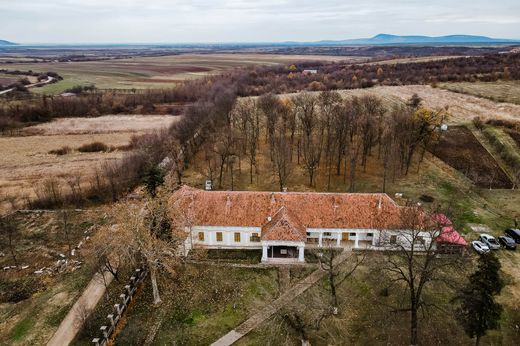 Maison individuelle à Drauț, Comuna Târnova