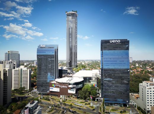 Apartment in Asunción, Asuncion