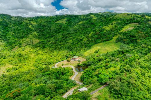 郊区住宅  Coamo, Coamo Barrio-Pueblo