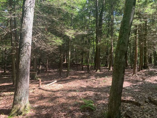 Grundstück in Roxbury, Litchfield County