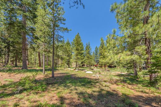 Teren w Truckee, Nevada County