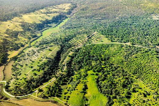 토지 / Alcácer do Sal, Distrito de Setúbal