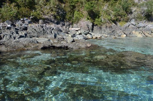 Isla en Hornopirén, Provincia de Palena