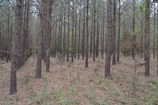 Grond in Irmo, Lexington County