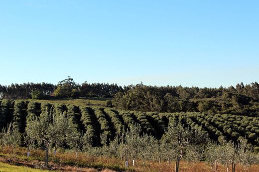 Casa de campo - Rocha, Departamento de Rocha