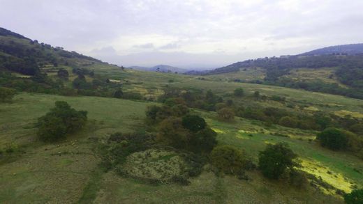 Ejido San Jerónimo, Aculcoの土地