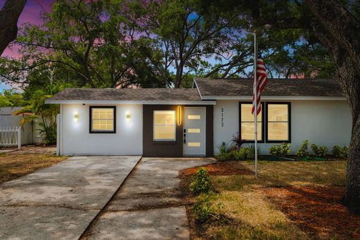 Detached House in Tampa, Hillsborough County