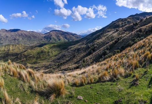 Casale a Wanaka, Queenstown-Lakes District