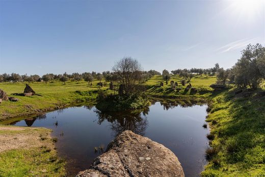 Propriété de campagne à Ourique, Distrito de Beja