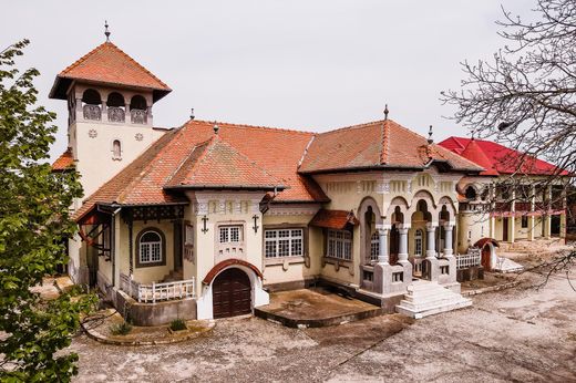 Castle in Pleşoiu, Comuna Pleşoiu