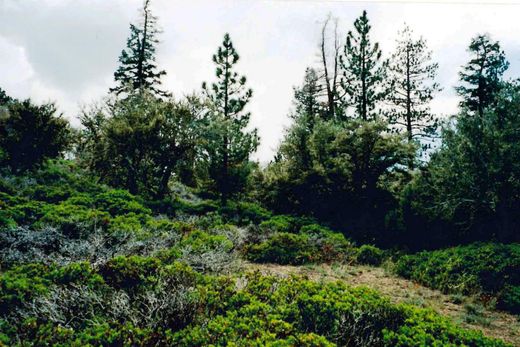 Grundstück in Big Bear City, San Bernardino County