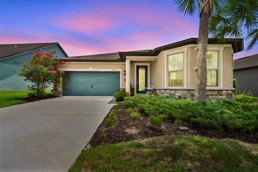 Detached House in Wesley Chapel, Pasco County