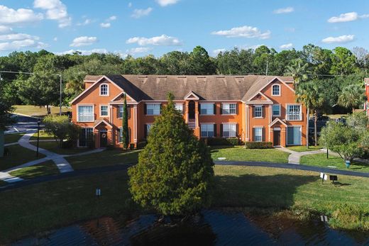 Apartament w Tampa, Hillsborough County