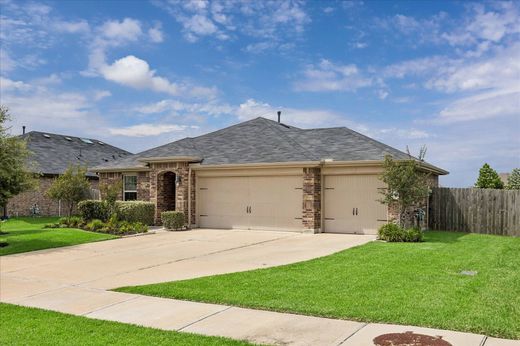 Частный Дом, Розенберг, Fort Bend County