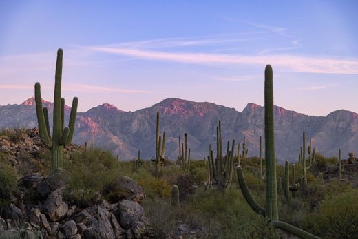 Teren w Oro Valley, Hrabstwo Pima