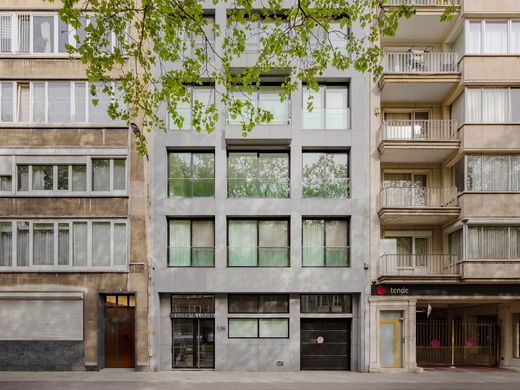 Daire Antwerp, Provincie Antwerpen