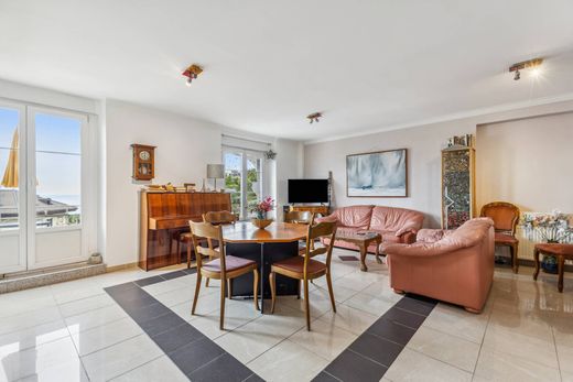 Apartment in Veytaux, Riviera-Pays-d'Enhaut District