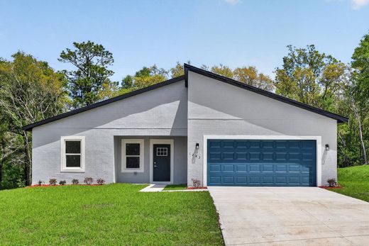 Einfamilienhaus in Citrus Springs, Citrus County