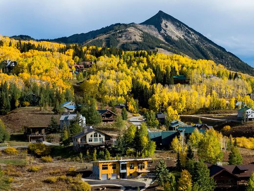 Mount Crested Butte, Gunnison Countyの高級住宅
