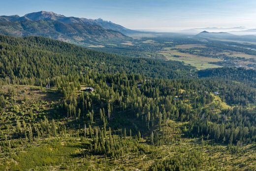 Teren w Wilson, Teton County