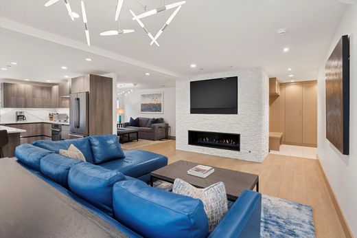 아파트 / 아스펜, Pitkin County