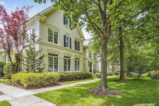 호화 저택 / Fairfax, City of Fairfax