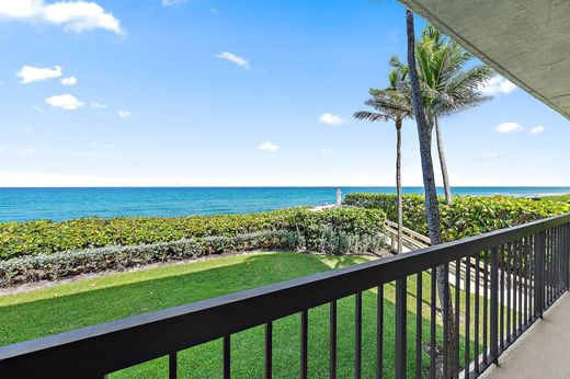 단독 저택 / Palm Beach, Palm Beach County