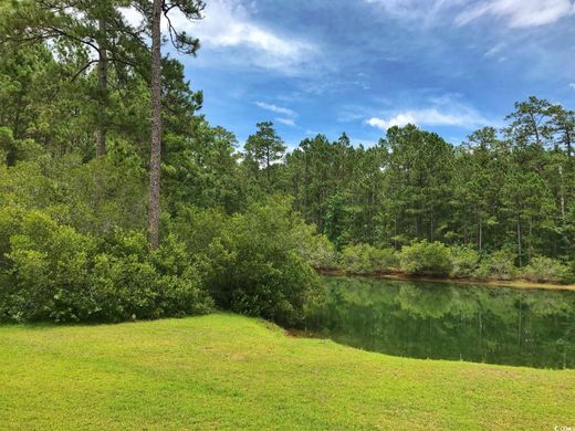 Αγροτεμάχιο σε Pawleys Island, Georgetown County