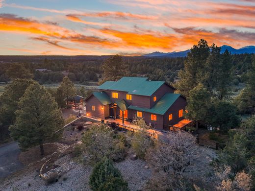 Dom jednorodzinny w Durango, La Plata County