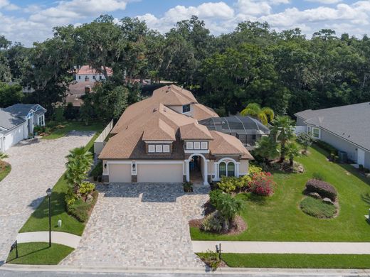 Jacksonville: villas y casas de lujo en venta - Propiedades exclusivas