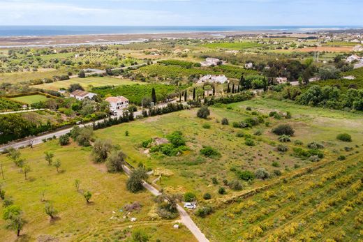 Arsa Tavira, Distrito de Faro