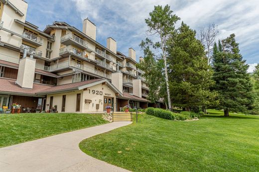 Appartamento a Steamboat Springs, Routt County