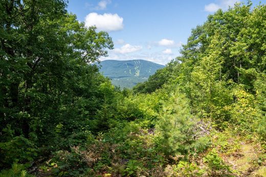 Terrain à Jamaica, Comté de Windham