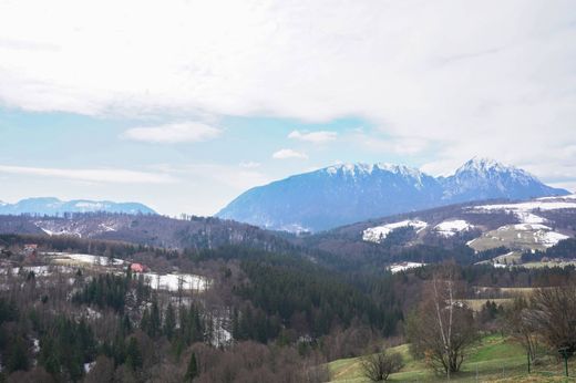 Willa w Poiana Mărului, Comuna Poiana Mărului