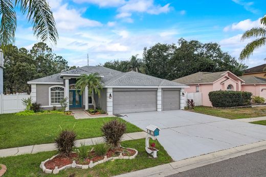 Casa en Tampa, Hillsborough County