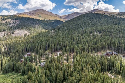 호화 저택 / Breckenridge, Summit County