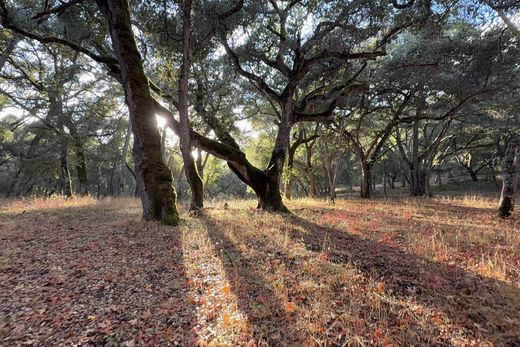Участок, Carmel Valley, Monterey County