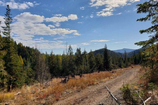 Land in Haugan, Mineral County