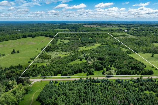 Arsa Mulmur, Ontario