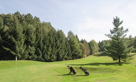 Luksusowy dom w Sieraków, Powiat międzychodzki