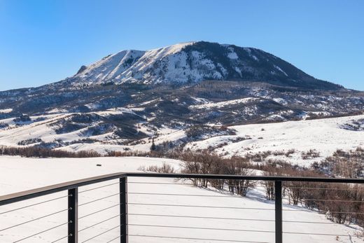 Steamboat Springs, Routt Countyの一戸建て住宅