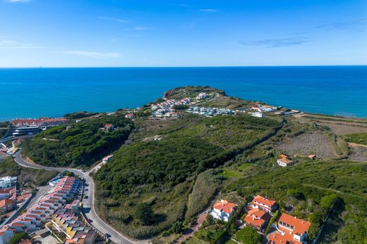 Land in Alcobaça, Distrito de Leiria