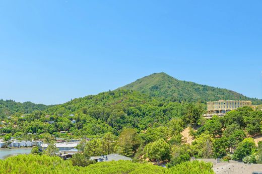 아파트 / Greenbrae, Marin County