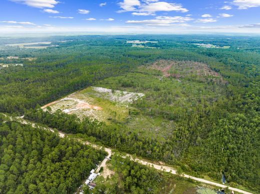 Land in Freeport, Walton County