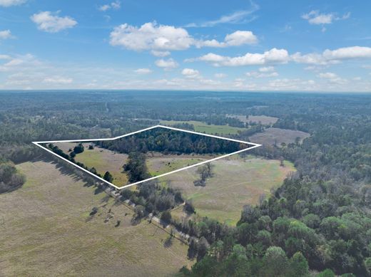 Land in Palestine, Anderson County