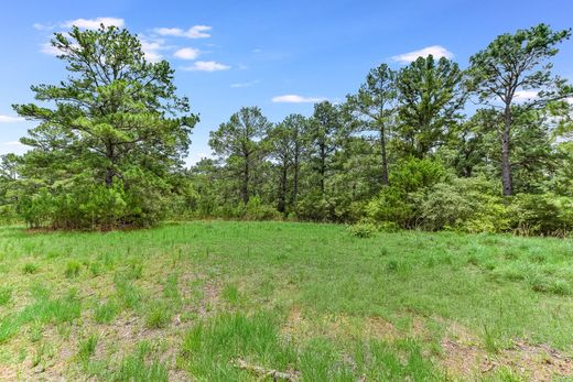 Casale a Rosanky, Bastrop County