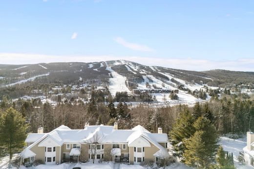 Apartment in Dover, Windham County