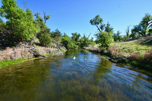 Gospodarstwo w Fredericksburg, Gillespie County