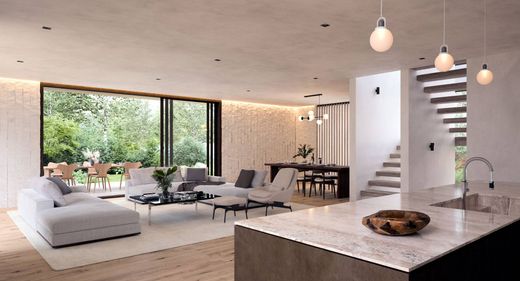 Aspen, Pitkin Countyの一戸建て住宅