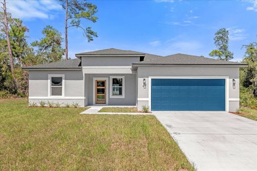 Detached House in Ocala Waterway, Marion County